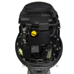 Лодочный мотор Seanovo SNEF 40 FEL-T EFI