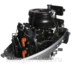 Лодочный мотор Seanovo SN9.9FFES Enduro